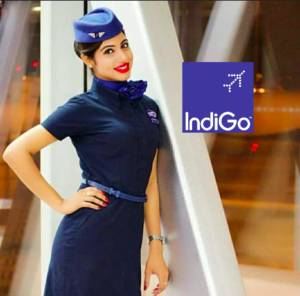 Indigo Airlines Cabin Crew Walk-in-Drives in India Various ...