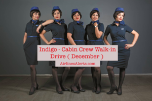 Upcoming Indigo Cabin Crew Interview - (December) - Apply Now