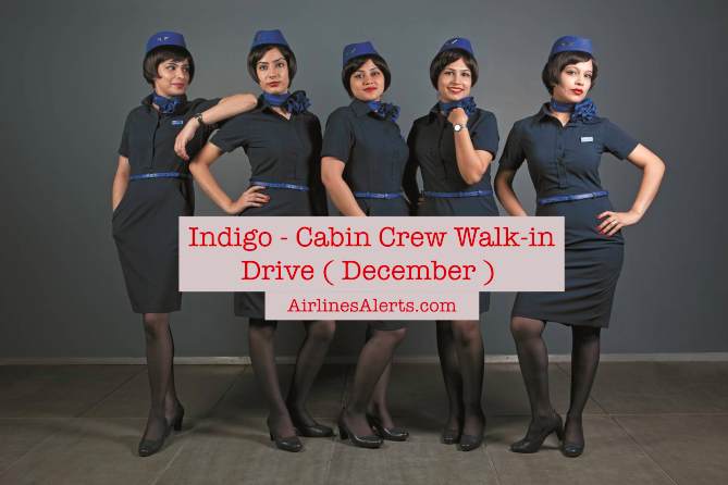 Upcoming Indigo Cabin Crew Interview December Apply Now