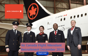 Air Canada Flight Attendant Bilingual (English/Mandarin/Japanese)