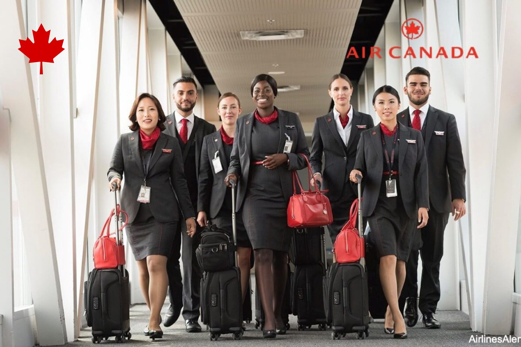 air-canada-flight-attendant-recruitment-2022-apply-now-check-details